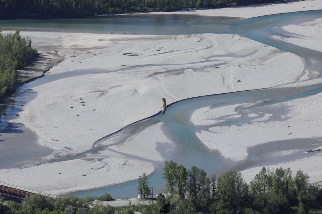 Baita Tana Da L'Ors Forgaria nel Friuli Экстерьер фото