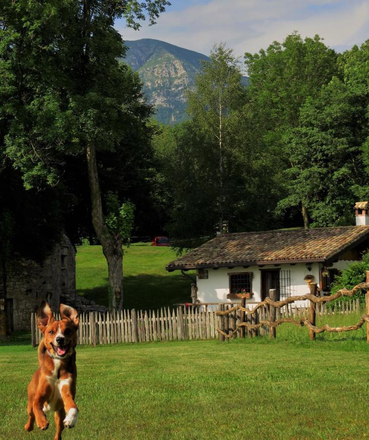 Вилла Baita Tana Da L'Ors Forgaria nel Friuli Экстерьер фото