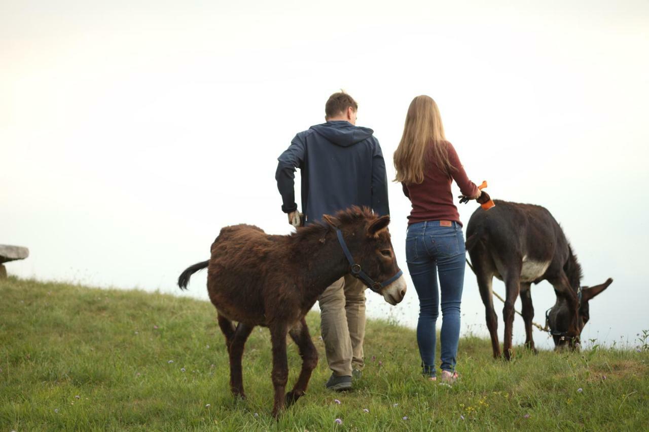 Вилла Baita Tana Da L'Ors Forgaria nel Friuli Экстерьер фото